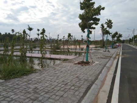 Đi đến slide 6