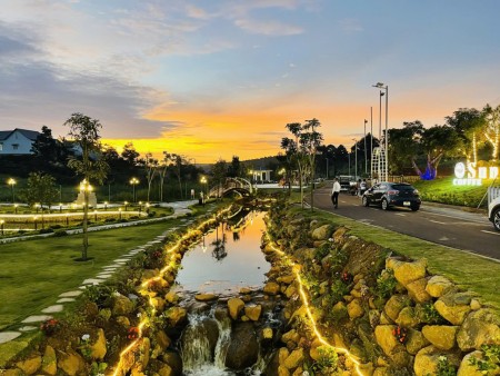 Đi đến slide 11