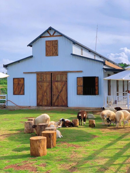 Cần Bán Gấp Lô Đất Sun Valley Vì Chuyển Ra Nước Ngoài – Giá Chỉ 13 Triệu/m²