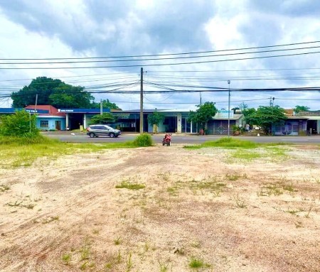 Bán 5 sào cao su (20x150=4.968m2) SHR, nở hậu 92m cách QL 200m giá 750tr, chợ trường