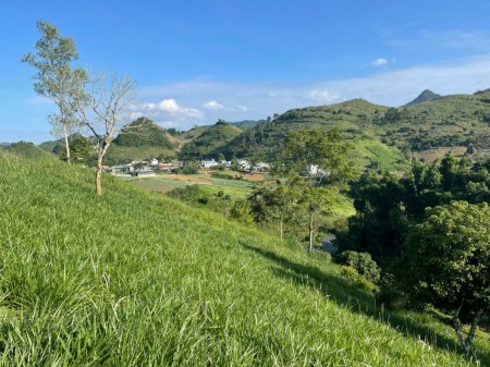 Siêu phẩm đất nghỉ dưỡng 1,2ha trung tâm ttnt Mộc Châu – View đồi chè tuyệt đẹp, độc nhất thị trường