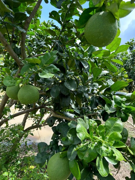Đi đến slide 2