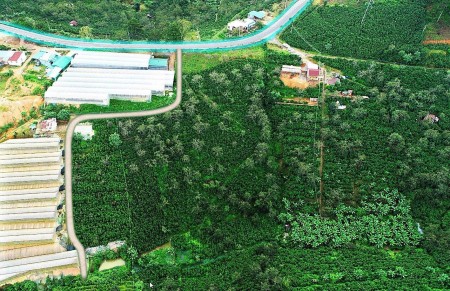 Đi đến slide 3