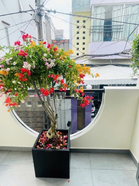 Đi đến slide 4