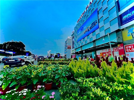Đi đến slide 3