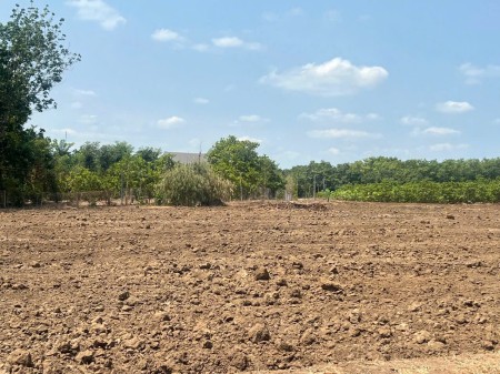 Cần bán nền đất đường nhựa giá rẻ - Ngay trung tâm chợ