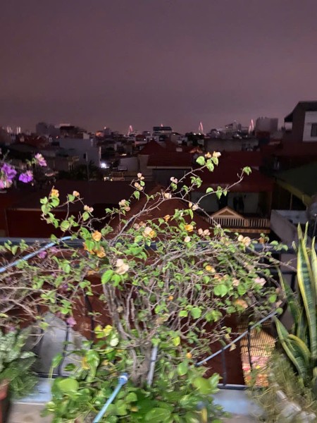 Đi đến slide 11