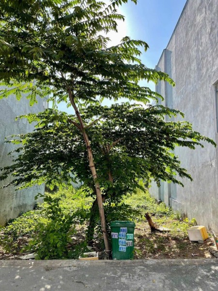 Đi đến slide 6