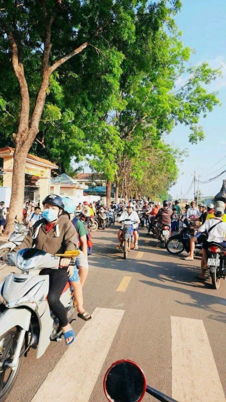 Đất vườn view hồ sinh thái ngay cạnh trường học, chợ, ủy bạn và khu công nghiệp