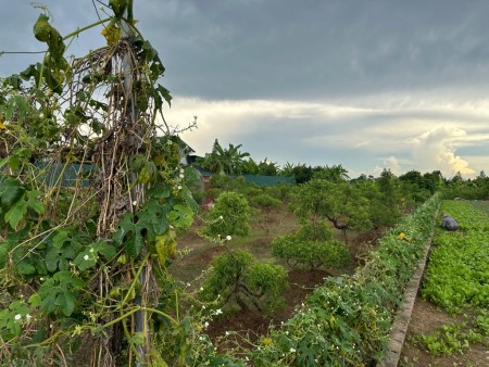 Bán Đất Trúc Sơn - Chương Mỹ, Đất rộng mênh mông, giá rẻ bất ngờ, 1307m2, giá dưới 5 tỷ