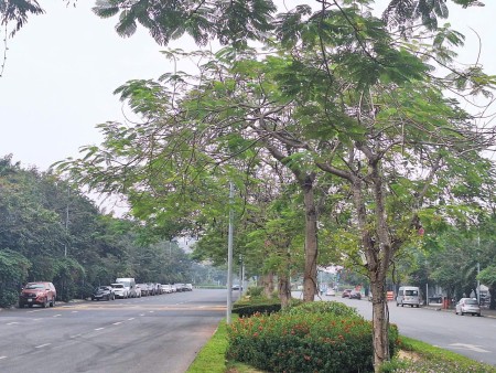 Đi đến slide 6
