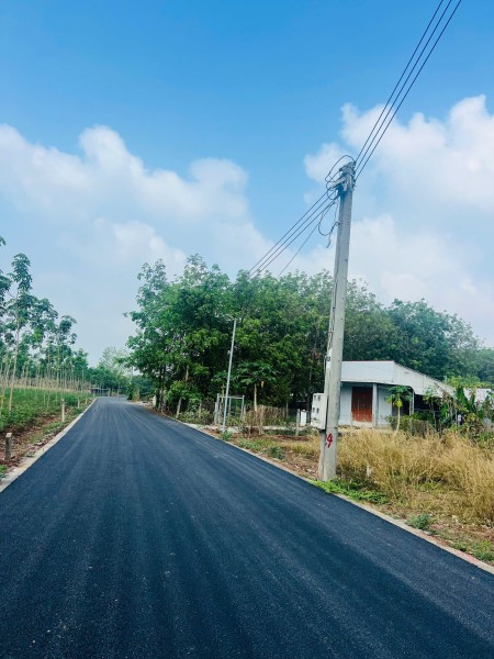 Chủ đang kẹt tiền ngân hàng cần bán gấp 2200m2 đất thổ vườn đường nhựa 15m hiện hữu