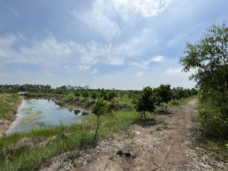 Bán đất vườn gần làng Du lịch Sinh thái Ông Đề