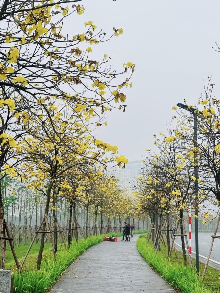 Bán đất ngõ đường Quang Trung La Khê sau KĐT Packcity Hà Đông