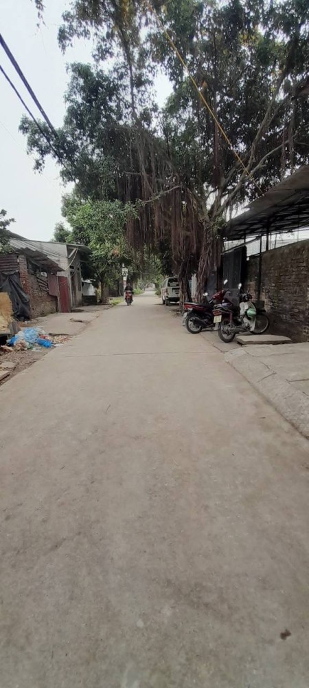 Bán nhà Cấp 4 - Hữu Hòa, Thanh Trì, Hà Nội – 51M² – Gía chỉ 1.150 tỷ