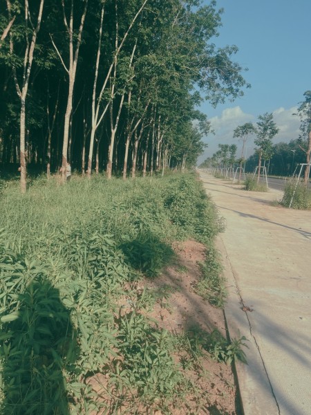 Đi đến slide 5