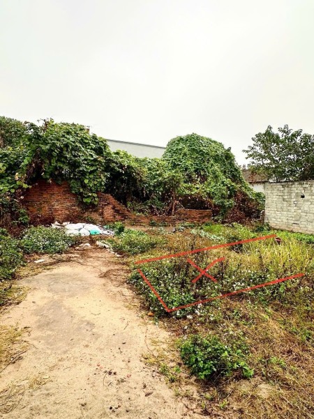 Bán lô đất 42.6 M2, MT4.5 Mai Lâm, Đông Anh, ngõ ô tô, sát bìa, giá đầu tư, 0375555372