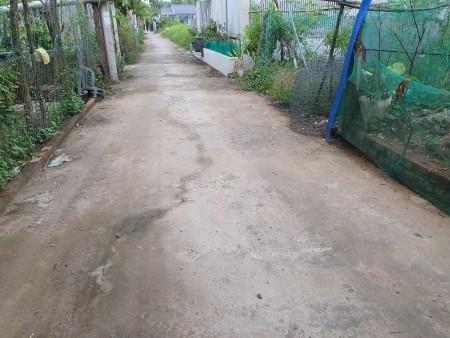 Bán đất nền phường 8 Bến Tre, diện tích 106m đường ô tô, khu dân cư hiện hữu