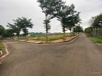 Đất đô thị giá đất trồng cây lâu năm - Cơ hội x3 tài sản - Còn 3 lô ạ