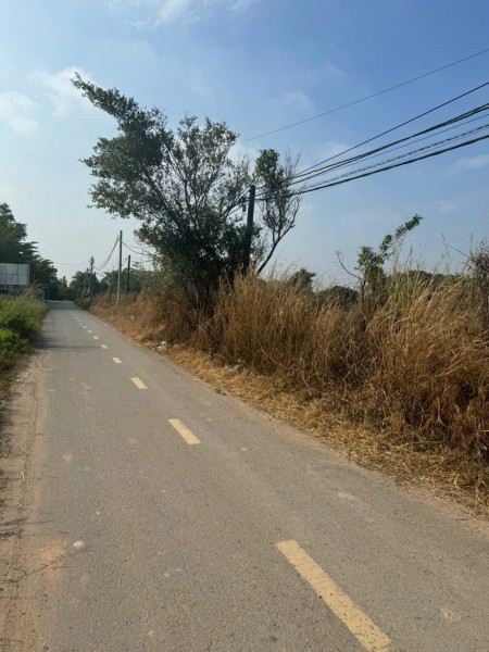 Bán đất mặt tiền đường nhựa Trung Đông 7 - Thới Tam Thôn, Hóc Môn