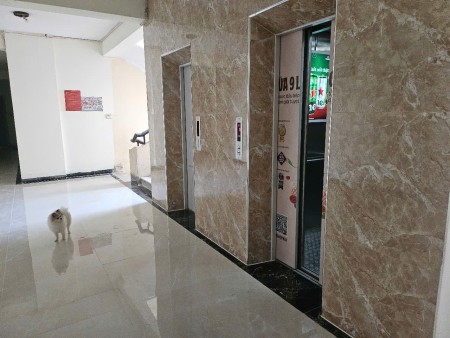 Bán căn hộ chung cư 50m2, 2 PN tòa A6C Nam Trung Yên