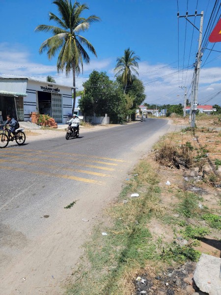 CHÍNH CHỦ CẦN BÁN GẤP! Đất biển Tuy Phong, Bình Thuận - Sổ sẵn - Giá cực tốt - đường QH 29m