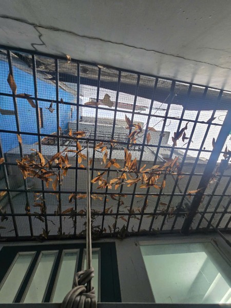 Đi đến slide 18