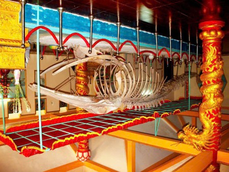 Mua Đất Biển – Nhận Ngay Vàng SJC – Sinh Lời Nhanh