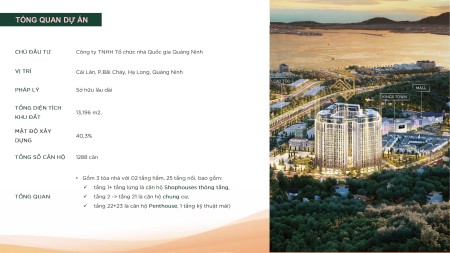 Đi đến slide 11