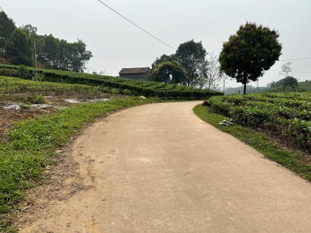 Đi đến slide 8