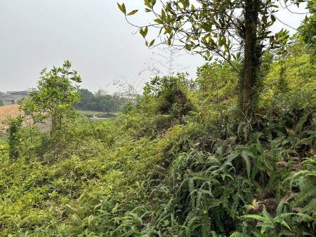 Đi đến slide 7