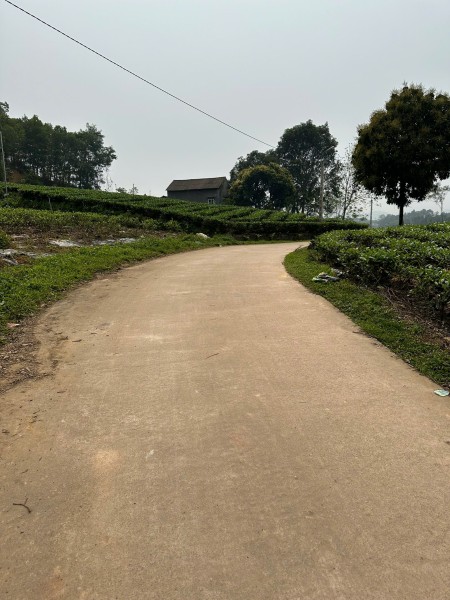 Đi đến slide 6