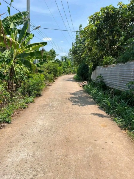 Kẹt Tiền Làm Ăn - Cần Bán Gấp Lô Đất Vườn 1300m2 Trảng Bom