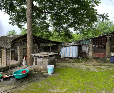 Đi đến slide 6