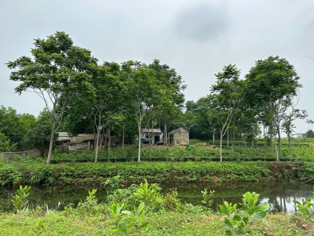 Đi đến slide 7