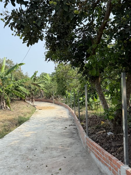 Kẹt Tiền Trả Nợ - Cần Bán Gấp Lô Đất Vườn 2100m2 Dầu Giây, Đồng Nai