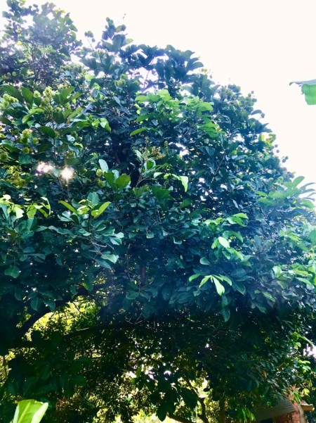 Đi đến slide 6