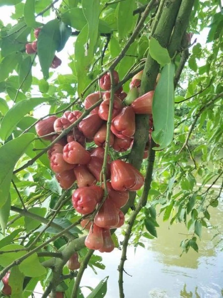 Đi đến slide 3