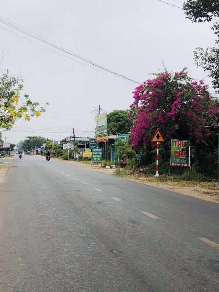 Đất Bàu Bàng, Bình Dương 220m² - Phù hợp đầu tư xây trọ - 400 triệu sở hữu ngay