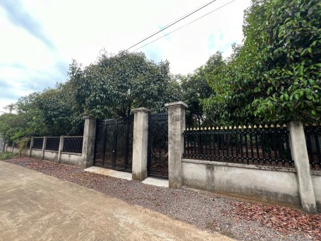 Bán đất có sẵn rào và vườn trái cây quanh đất tại Bàu Hàm 2