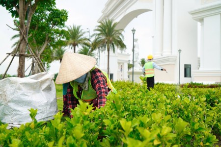 Đi đến slide 5