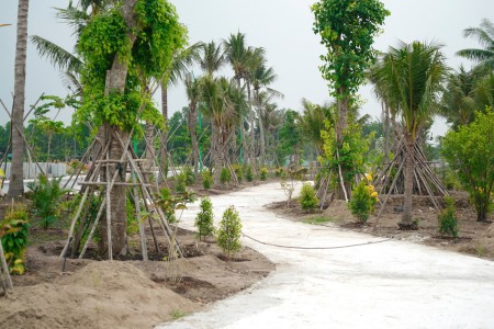 Đi đến slide 3