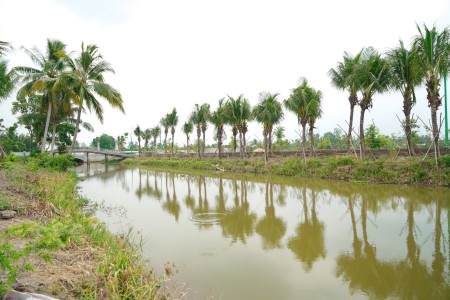 Đi đến slide 13