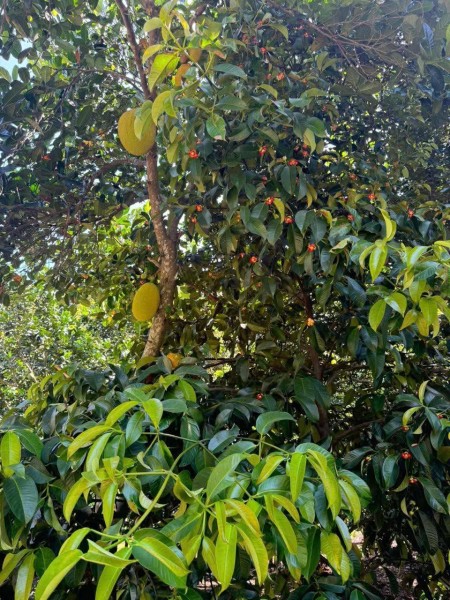 Đi đến slide 6