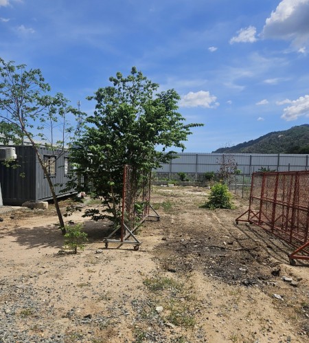 Đi đến slide 7