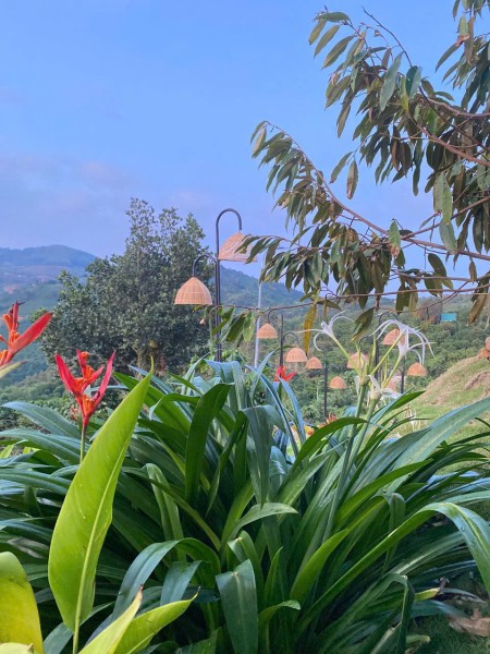 Đi đến slide 9