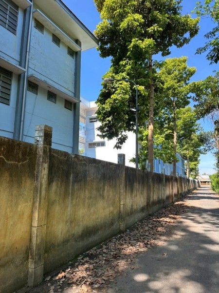 Sang Ngộp Vườn 3500m2 Mặt Tiền Ngang 42m, Giá chỉ 650 Triệu/Sào, Sổ Hồng Riêng