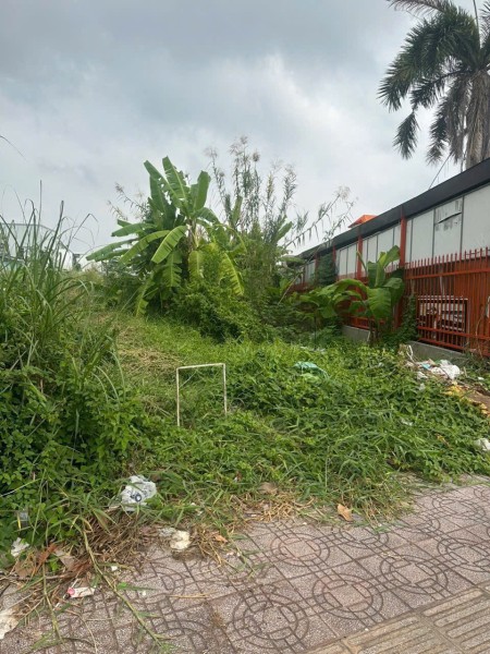Đi đến slide 2