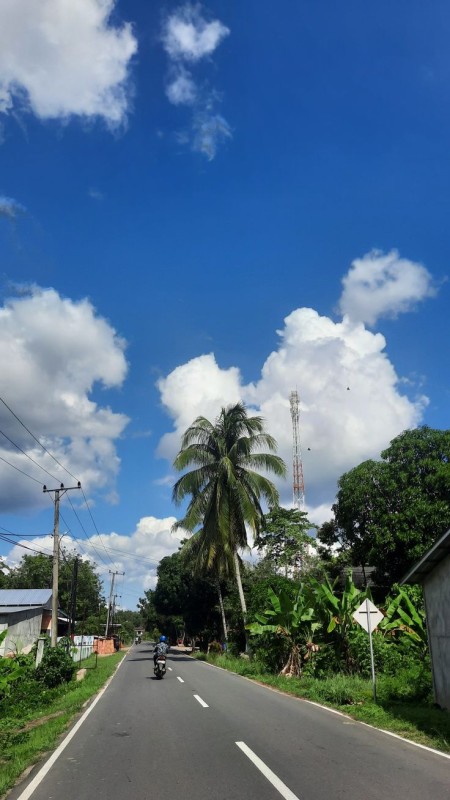 3.000m² đất vườn Hưng Thịnh – Lô đất tốt, đáng để đầu tư