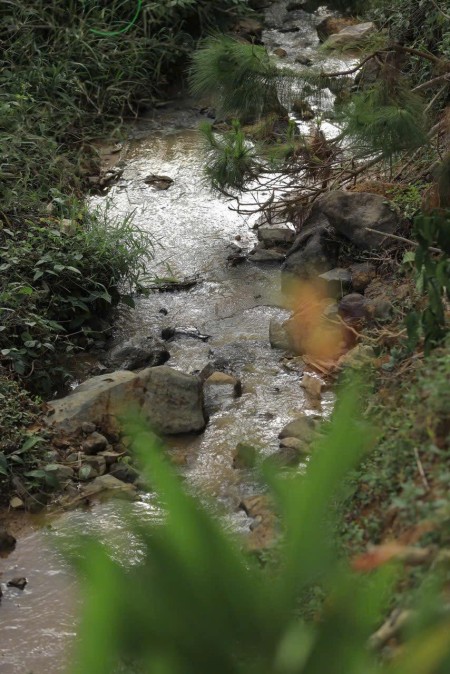 Đi đến slide 2